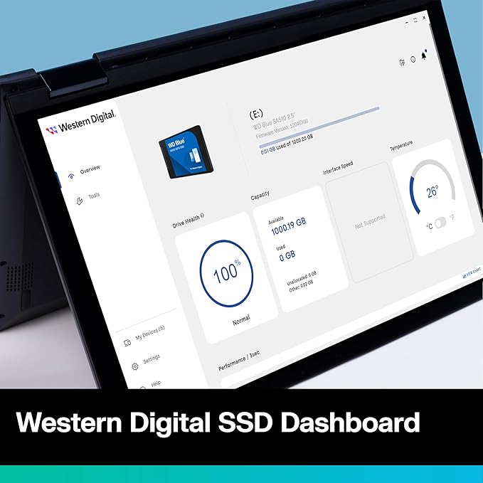 WD Blue 500GB SSD (WDS500G3B0A)