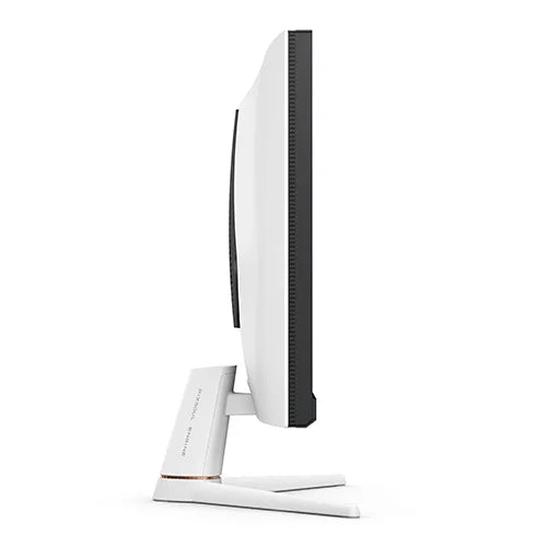 BenQ MOBIUZ EX251 25 Inch Gaming Monitor